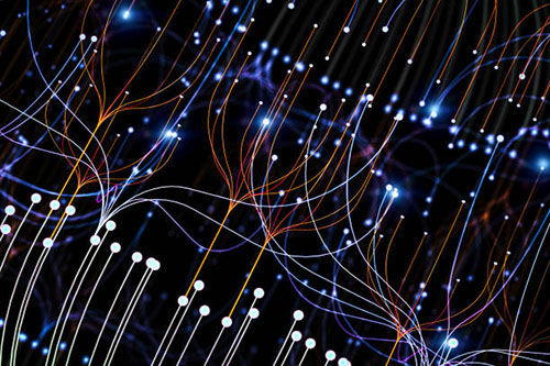 政府或监管机构在数字资产评估中需要起什么作用？