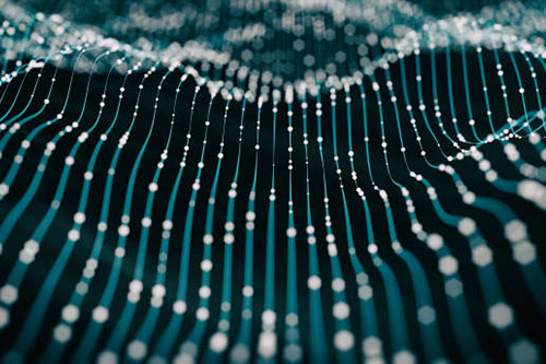 区块链网络的透明度如何影响审计过程？