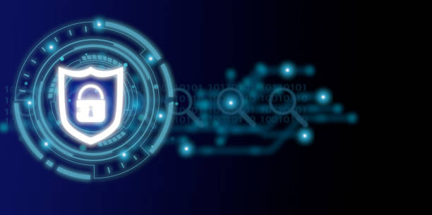 如何识别和避免钱包地址伪装的风险？