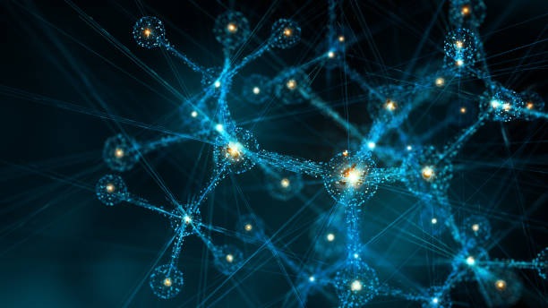 在进行区块链合约安全审计时，应该关注哪些关键因素？