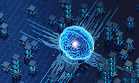 如何在加密资产市场中有效管理风险？