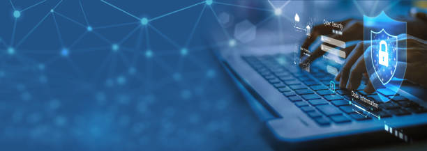 是否有标准化的方法来进行共识漏洞检测？